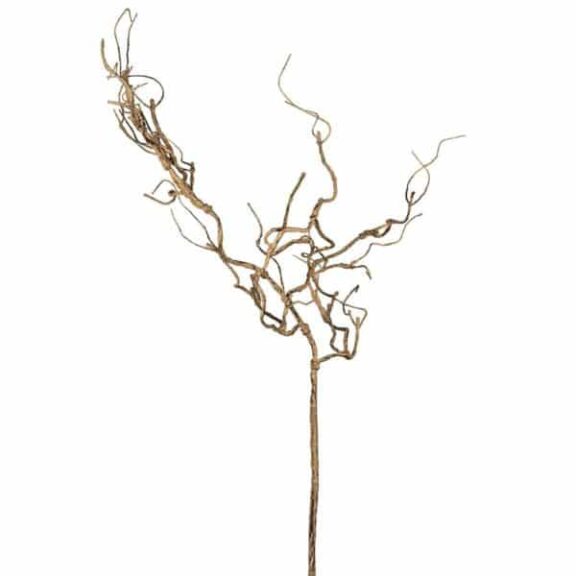 Branche de noisetier Sia