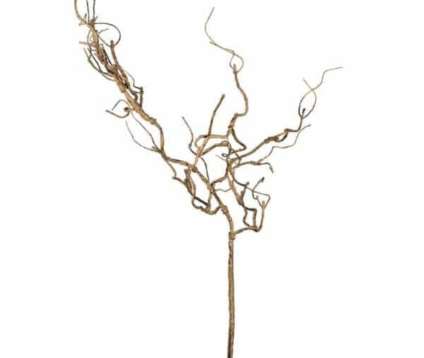 Branche de noisetier Sia