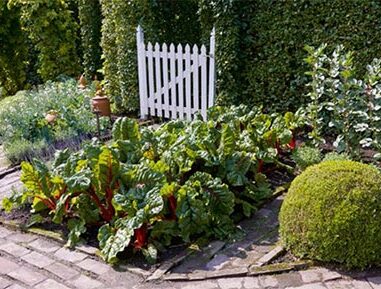 Potager