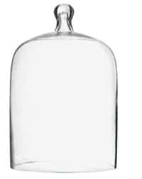Cloche en verre