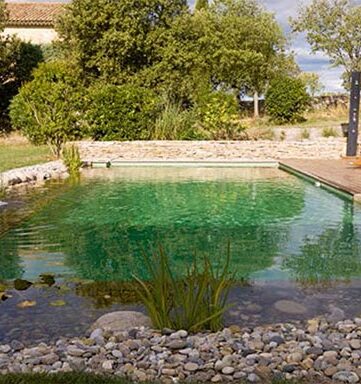 bassin naturel