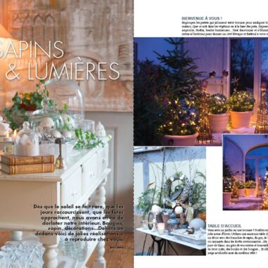 Sapins & Lumières