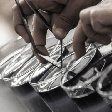 Fabrication de bougies
