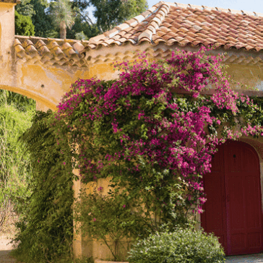 Murs de fleurs