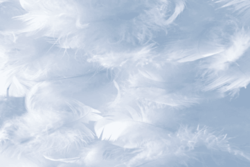 Choisir et entretenir sa couette et son oreiller