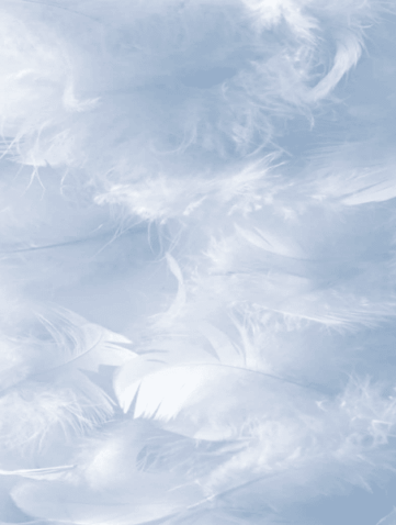 Choisir et entretenir sa couette et son oreiller