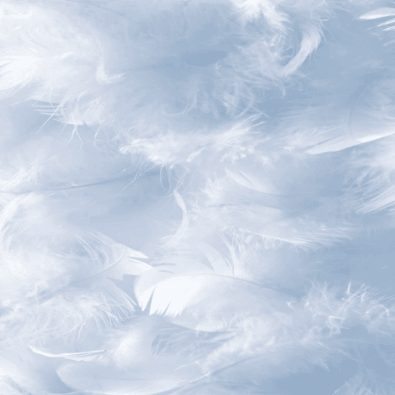 Choisir et entretenir sa couette et son oreiller