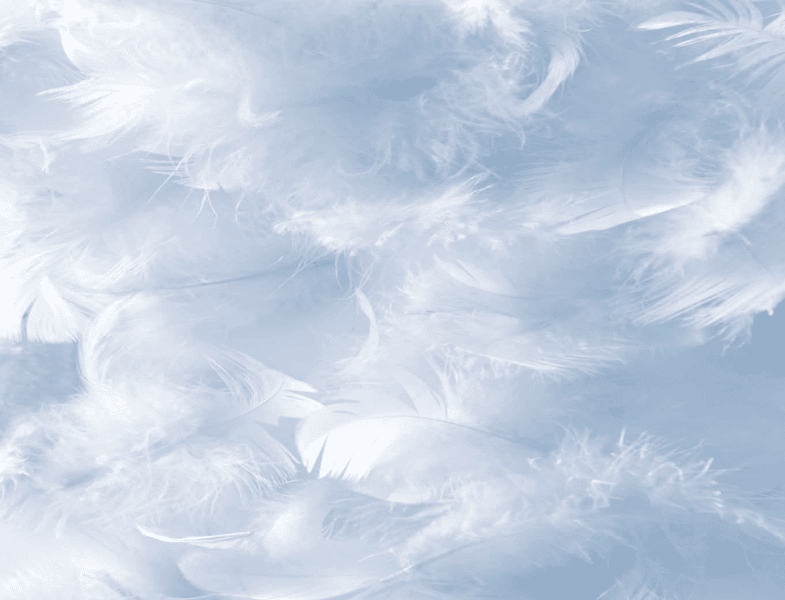 Choisir et entretenir sa couette et son oreiller