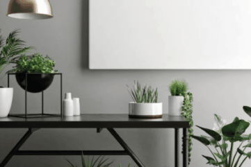 Les magiciennes vertes