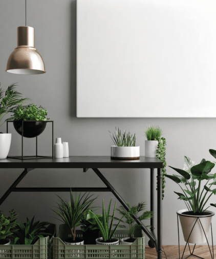 Les magiciennes vertes