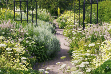 Mixed border, le jardin des peintres