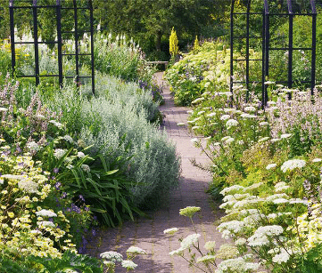 Mixed border, le jardin des peintres