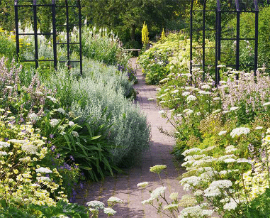 Mixed border, le jardin des peintres
