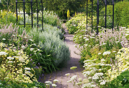 Mixed border, le jardin des peintres