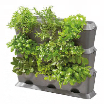 Nature Up - Castorama