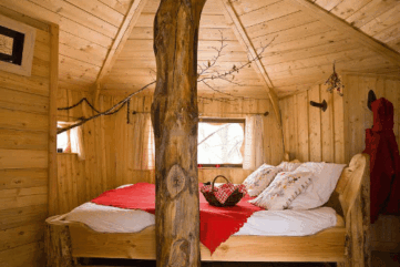 Cabane perchée dans les arbres