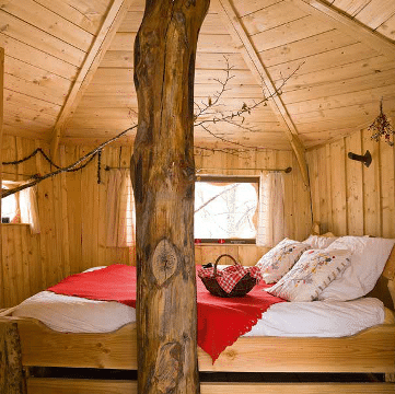 Cabane perchée dans les arbres