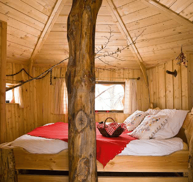 Cabane perchée dans les arbres