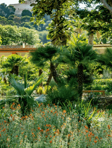 Jardin Emmanuel Lopez - Île de Porquerolles
