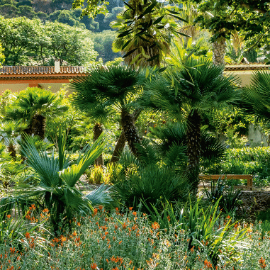 Jardin Emmanuel Lopez - Île de Porquerolles