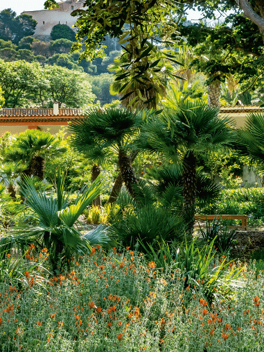 Jardin Emmanuel Lopez - Île de Porquerolles