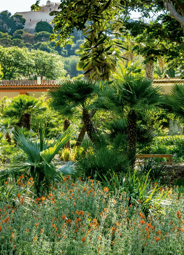 Jardin Emmanuel Lopez - Île de Porquerolles