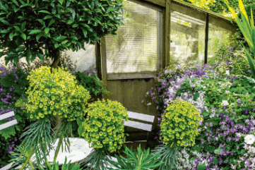 La couleur au jardin