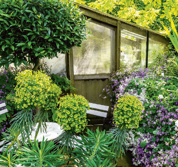 La couleur au jardin