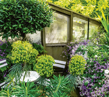 La couleur au jardin