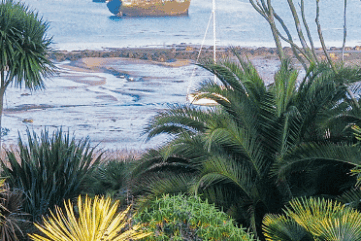 Jardin en bord de mer