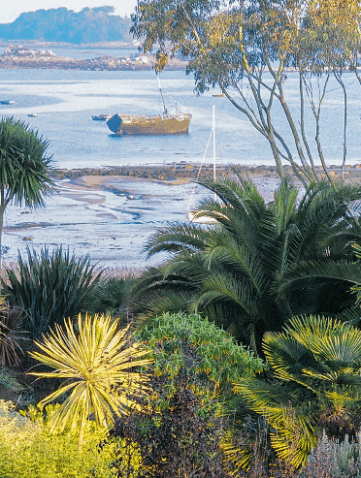 Jardin en bord de mer
