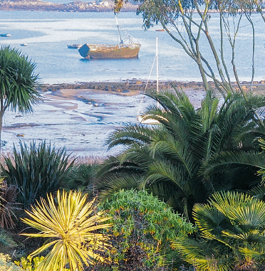 Jardin en bord de mer