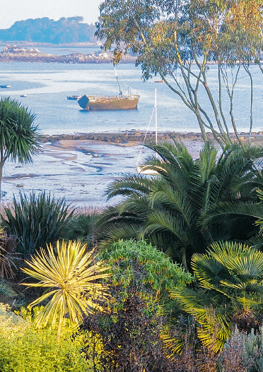 Jardin en bord de mer