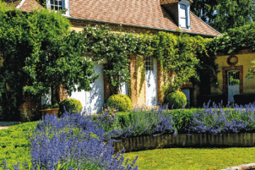 Façade, place à la végétation