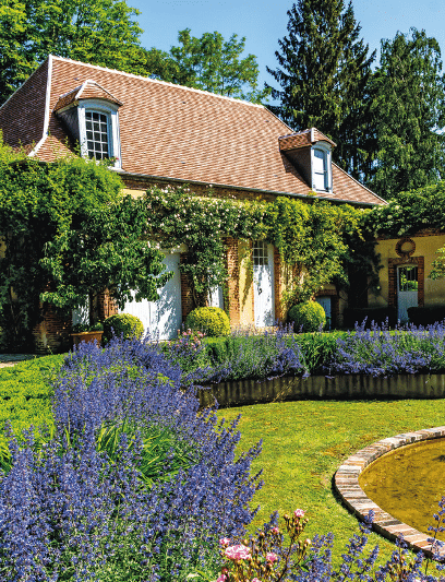 Façade, place à la végétation