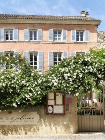 Le Clair de la Plume