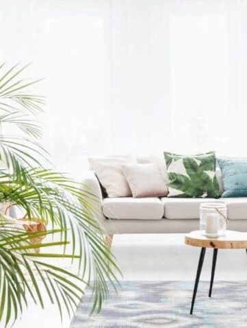 architecte intérieur