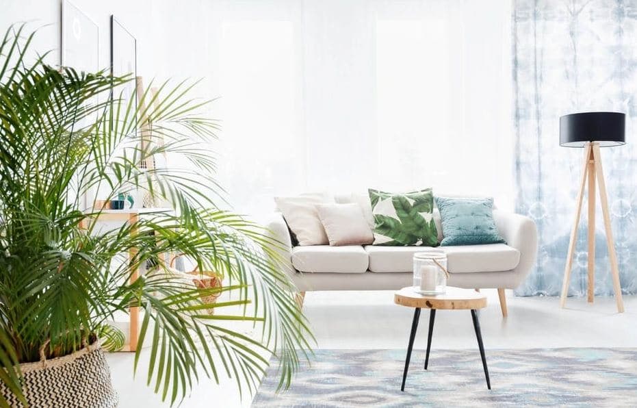 architecte intérieur