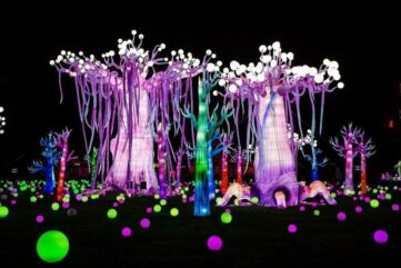 Thoiry lumières sauvages