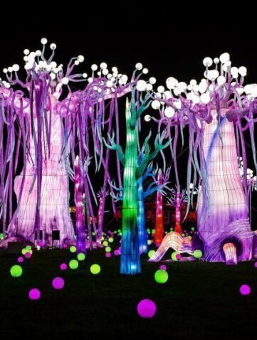 Thoiry lumières sauvages