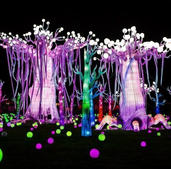 Thoiry lumières sauvages