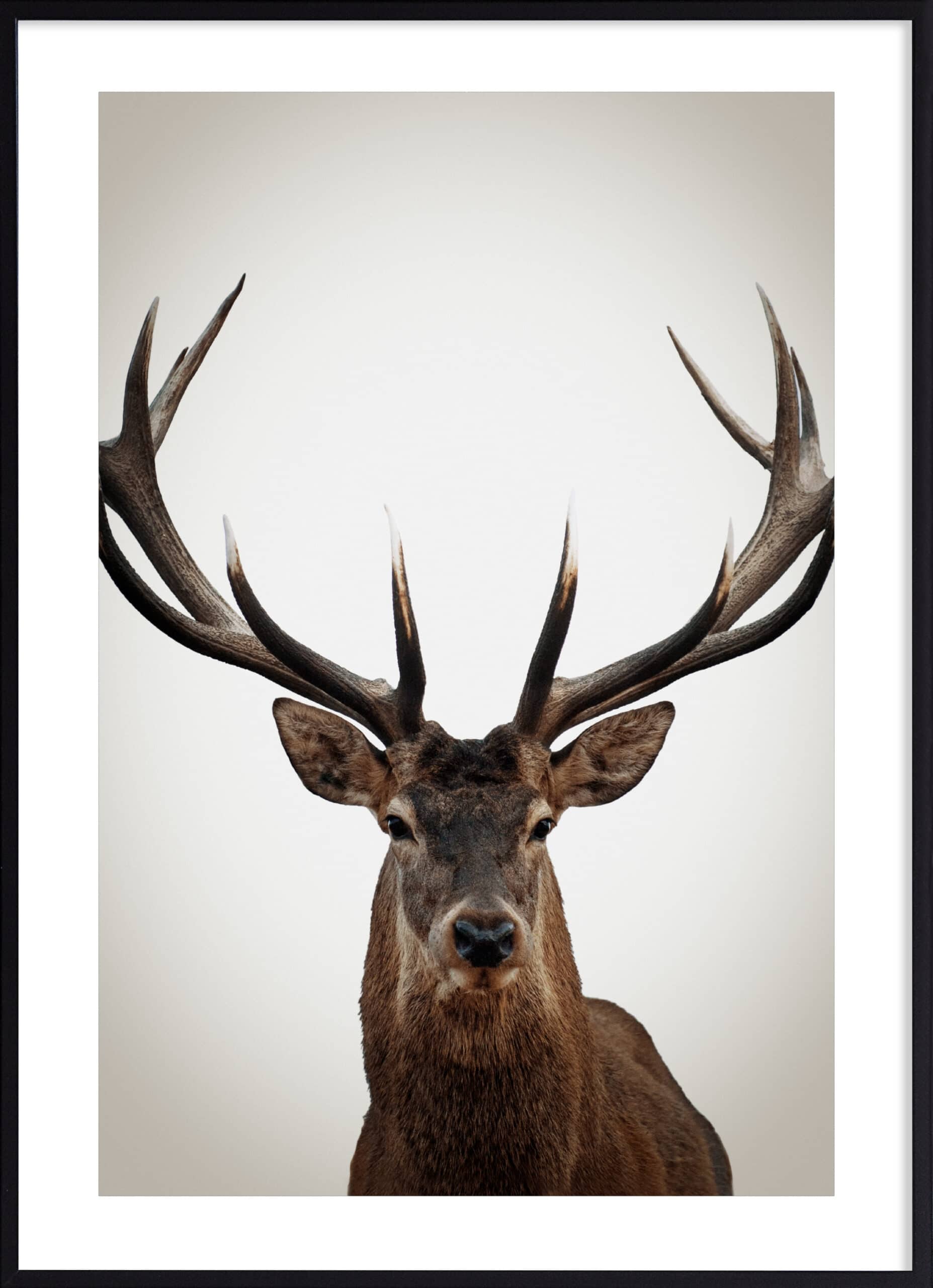 Affiches Desenio Noël