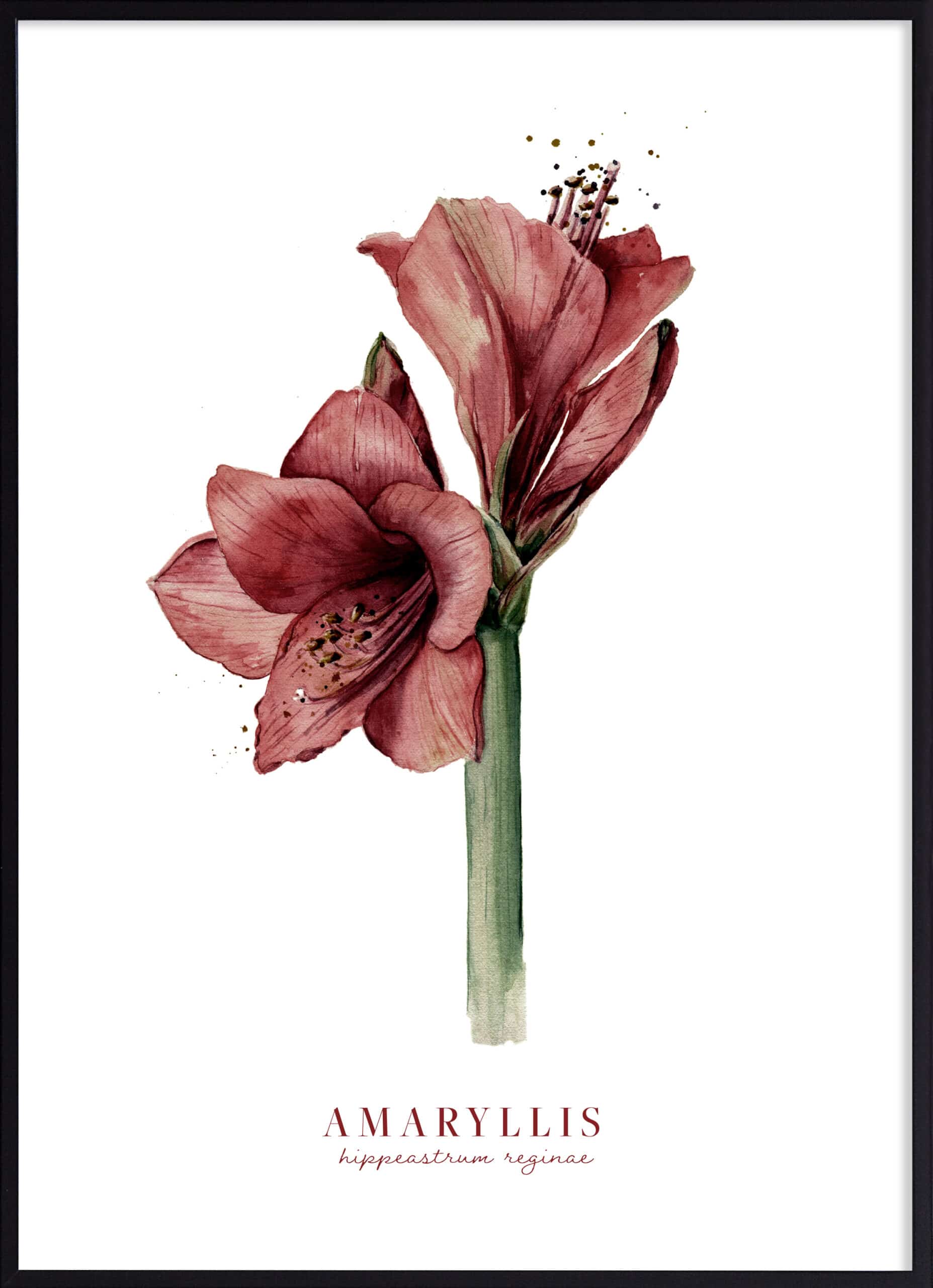 Affiches Desenio Noël