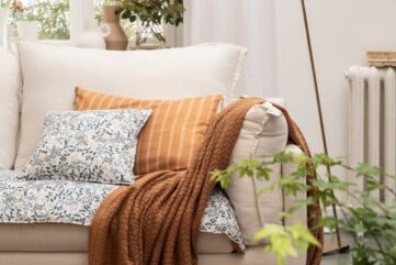 décoration nature salon