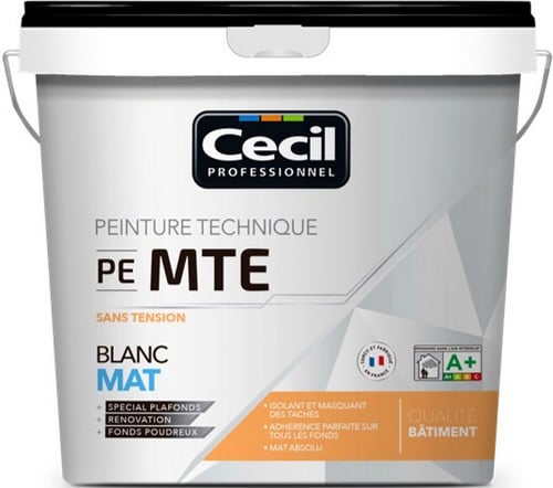 Peinture murs tachés Cecil Pro