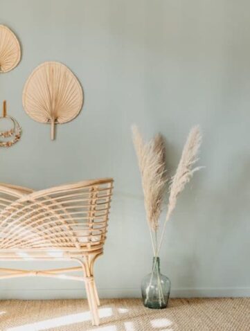 Berceau Saudara Collections