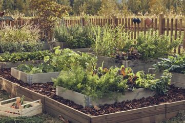 Astuces Leroy Merlin eau jardin