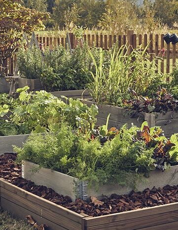 Astuces Leroy Merlin eau jardin