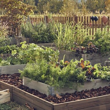 Astuces Leroy Merlin eau jardin