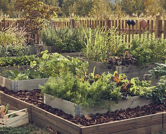 Astuces Leroy Merlin eau jardin